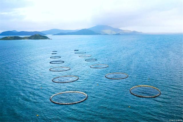 1680160513763802.jpeg e049dbcdf0a1d193f7fdf9a9c2b4feea.jpeg