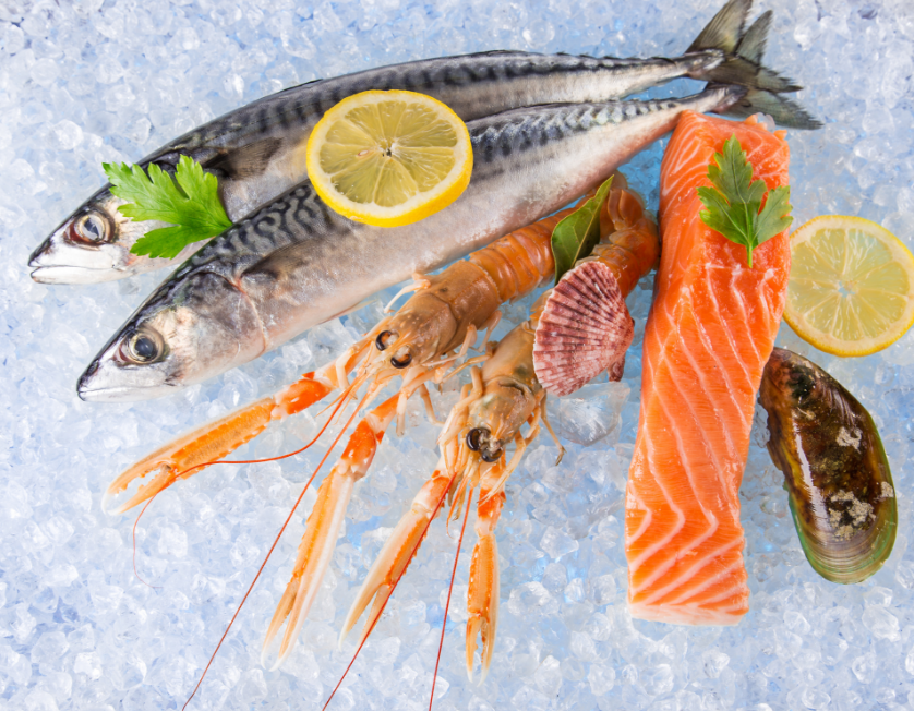 1693451008304082.png 水產22.png