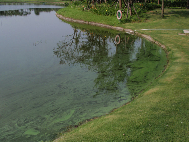 1697423430275066.png 渾濁.png