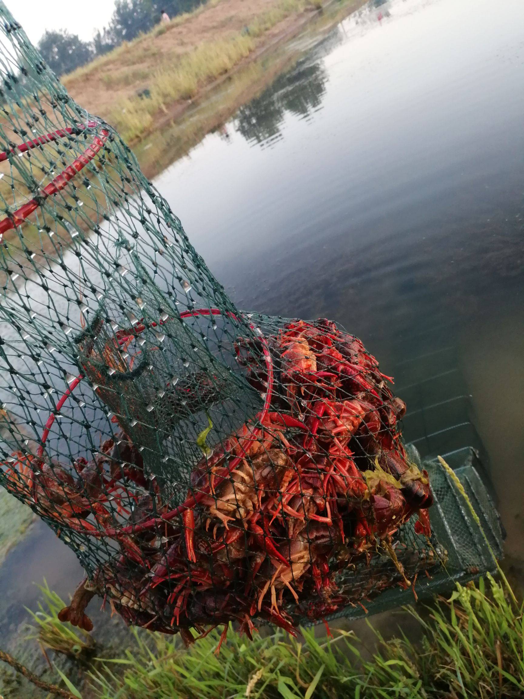 1709951093998184.png 1709951093998184.png