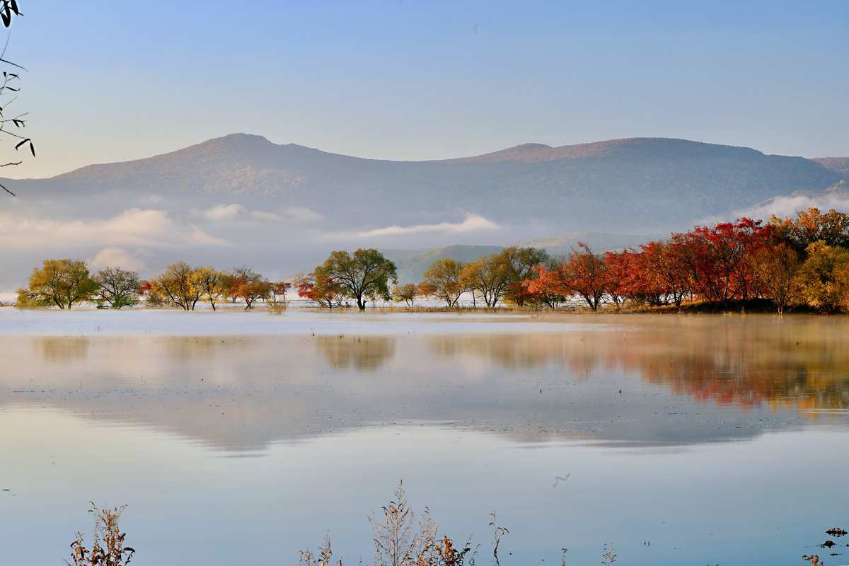 1731486827273537.jpg 1731486827273537.jpg