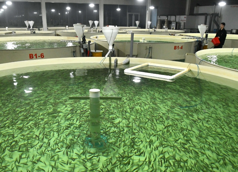 1732945045717624.png 1732945045717624.png