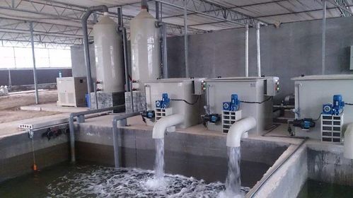 1733292263718240.jpeg 工業(yè)循環(huán)水.jpeg